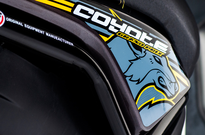 Coyote