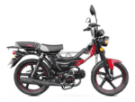 Fly 110cc
