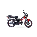 Fly 110cc