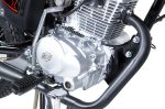 FREEDOM 150CC